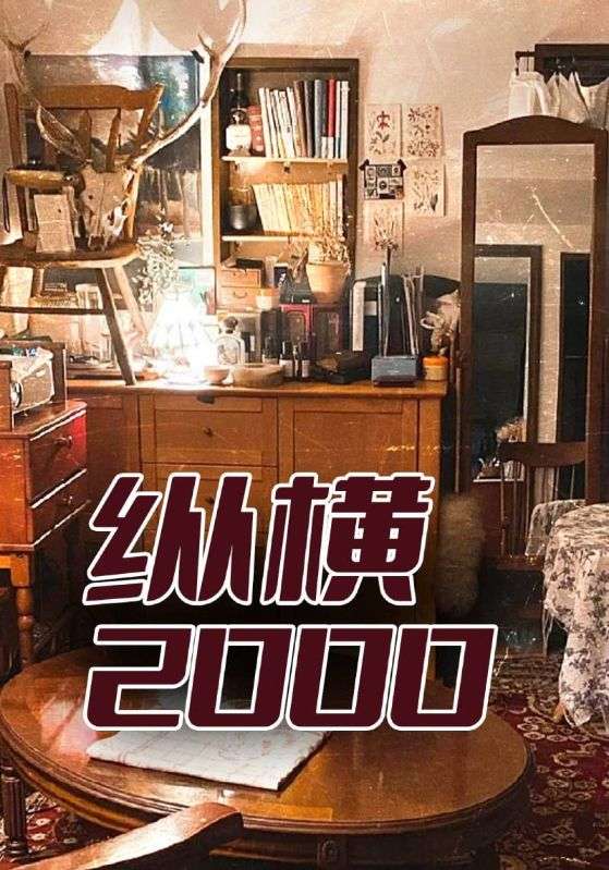 纵横2000海报