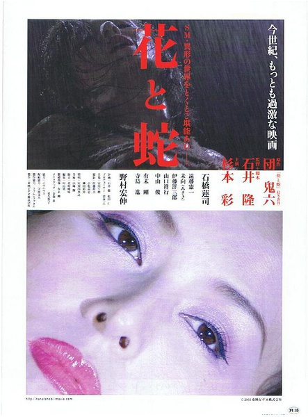 花与蛇2004海报